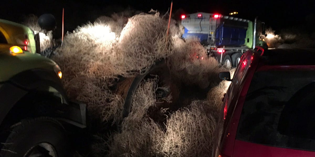 Cars got trapped in 15 feet of tumbleweeds that shut down a Washington state highway on New Year’s Eve