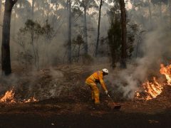 The Australia Fires in Photos: Here’s What We Know – Wall Street Journal