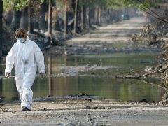 In 2017, a journalist predicted that Trump’s Hurricane Katrina would be ‘a deadly pandemic.’ He tells us why he made that prediction.