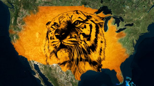 ‘Tiger King’ Popularity Highlights Market for Big Cats in U.S.