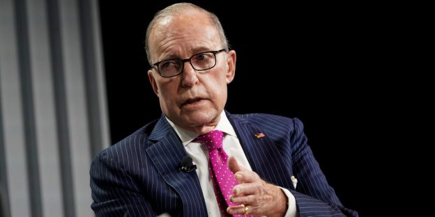 A top Trump economic adviser says the next wave of stimulus checks should go to ‘people who lost their jobs and are most in need’