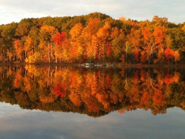 12 affordable Airbnb cabins in the Catskills you can book for under $200 a night