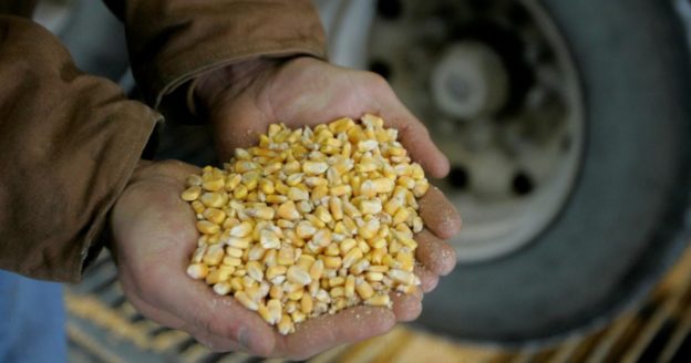 American drivers are saving the corn ethanol industry–for now