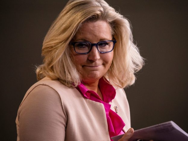 Liz Cheney’s Republican enemies knocked her out of a job. But her supporters — like Jeb Bush and Elon Musk’s brother — have quietly sent her campaign cash.