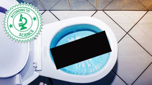 Why Flushing the Toilet With the Lid Up Is Grosser Than You Even Imagined