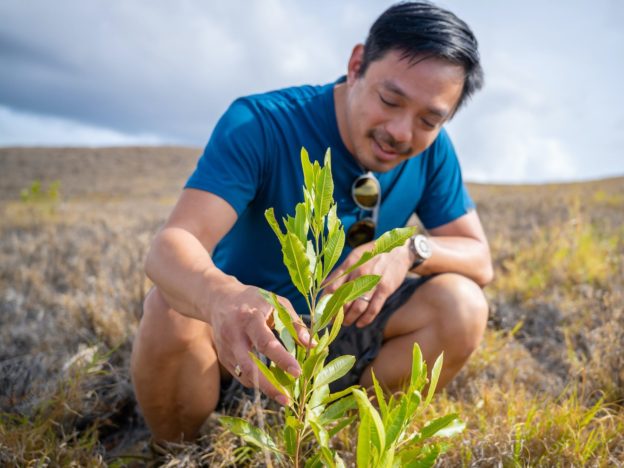 We got an exclusive look at the pitch deck this ex-Reddit CEO used to raise $30 million to reforest the planet