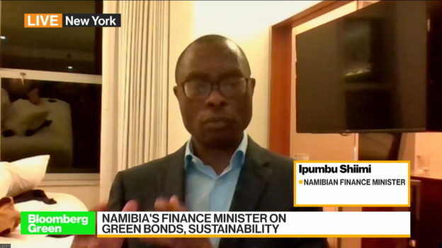 Namibia Plans to Issue Green Bonds: Finance Minister