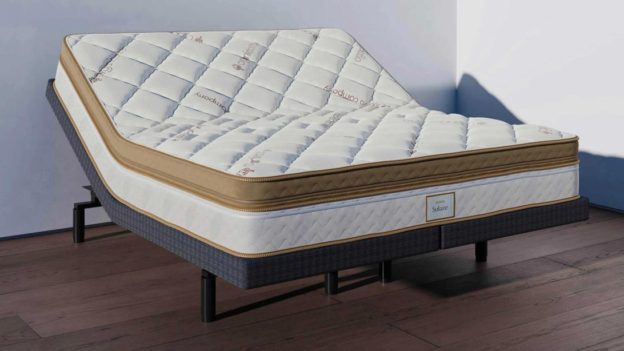 Best Adjustable Mattress for 2022