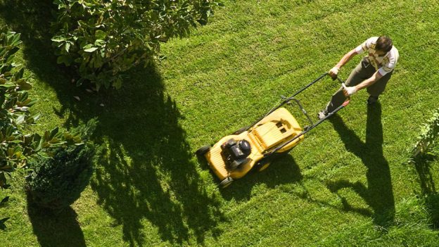 5 Best Lawn Care Resources To Help Keep Your Grass Green and Healthy