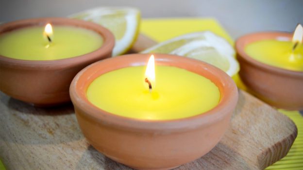 Do Citronella Candles Work? Best Natural Mosquito Repellents