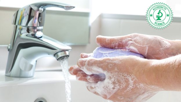 Is Your Bar of Soap Covered in Germs? Scientists Provide a Clean Answer