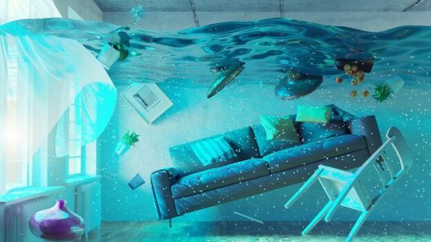 ‘I Bought a House in a Flood Zone’: Here’s How We Don’t Sink | Real Estate News & Insights | realtor.com®