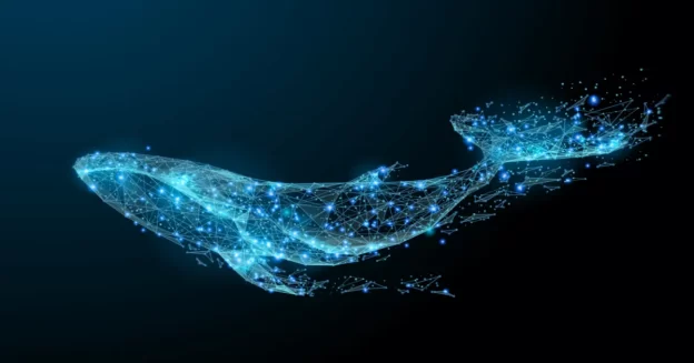 Crypto Whale’s Bitcoin Accumulation Drop While Retailer’s Rise Amidst Market Recovery