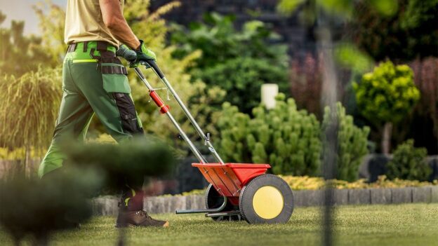 How To Revive a Lawn That Took a Beating This Winter