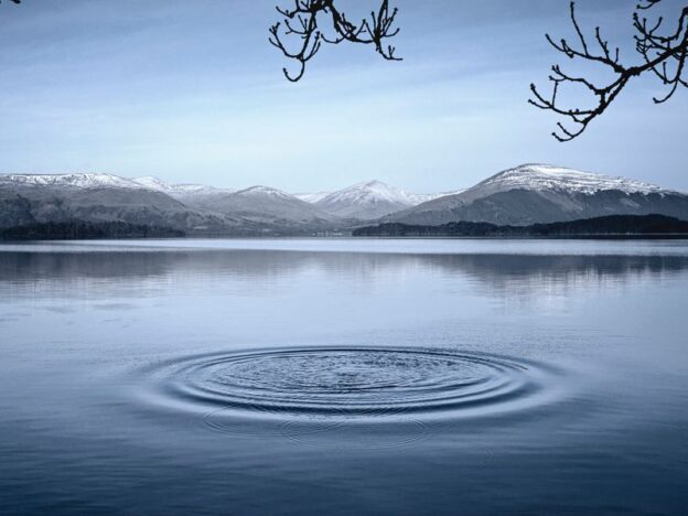 First Mover Americas: Ripple Labs’ XRP Token Marches Forward