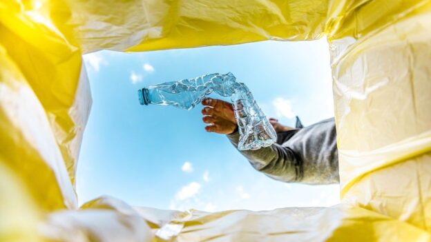 Are You Guilty of ‘Wish-cycling’? Debunking the Top Recycling Myths