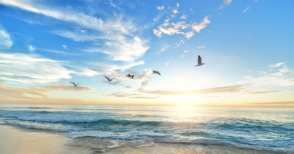 So I only ate potatoes for 2 weeks