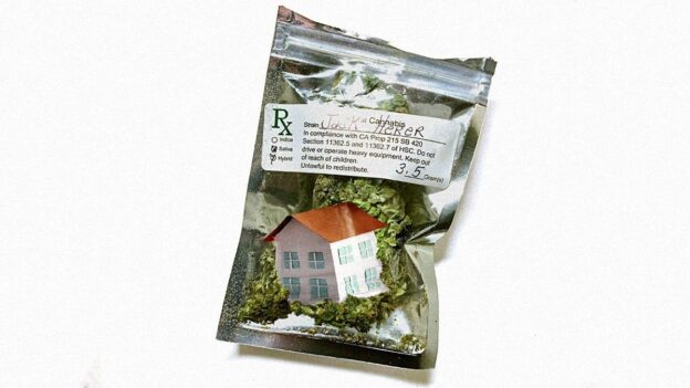 Is Legal Marijuana Giving Local Housing Markets in 2023 a Buzz?