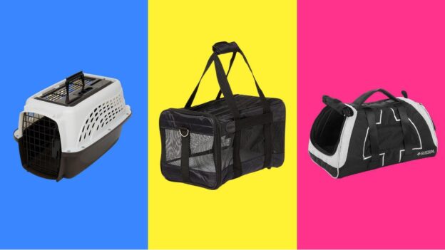 The Best Cat Carriers That Even Your Feline Will Tolerate – Forbes Vetted