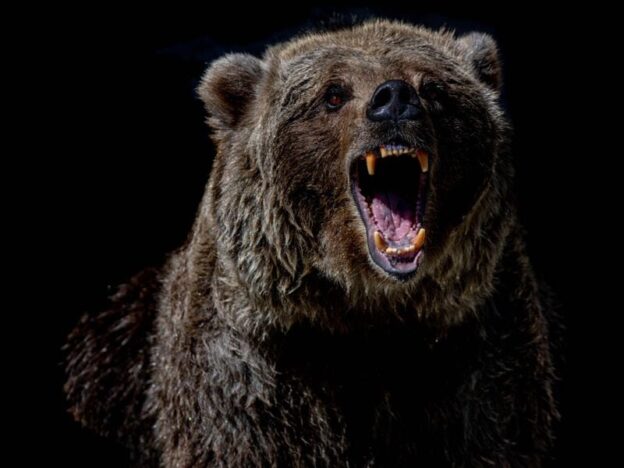 Bitcoin ETFs: The Bear Case