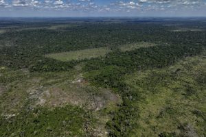 Big Meat giant JBS’ bid to list on NYSE draws widespread opposition from UK, US lawmakers over Amazon deforestation