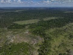 Big Meat giant JBS’ bid to list on NYSE draws widespread opposition from UK, US lawmakers over Amazon deforestation