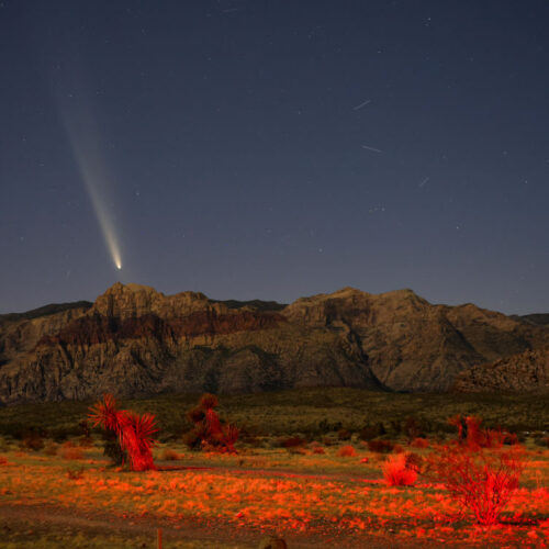 Two comets will be visible in the night skies this month