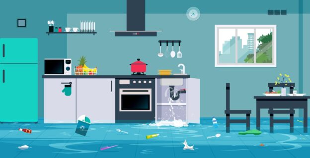 5 Immediate Things You Should Do If Your House Floods