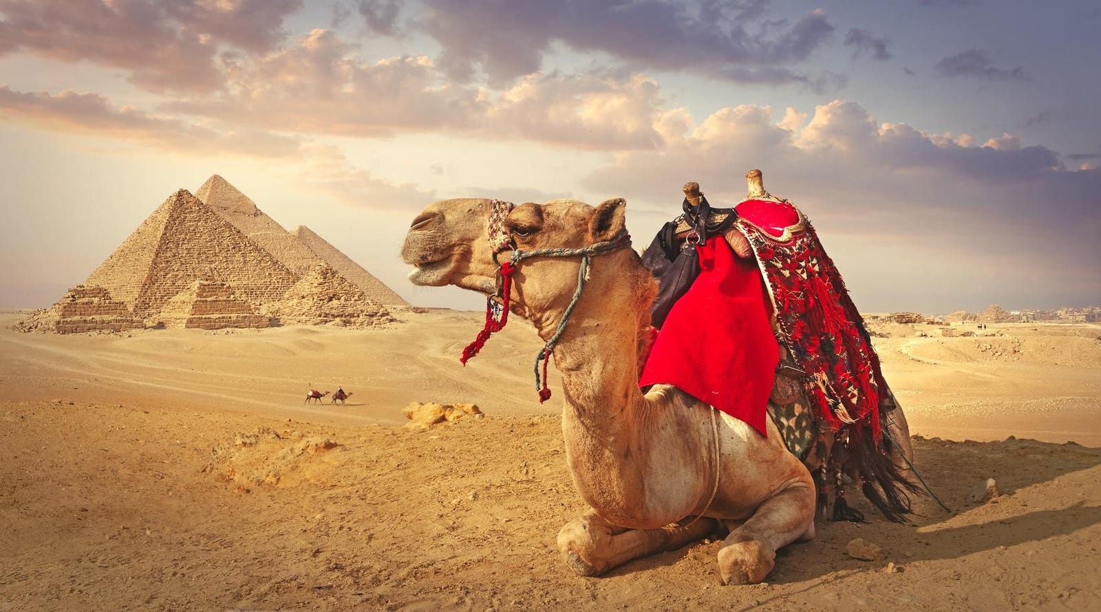 airbnb-drops-camel-rides-but-gizas-already-changing-heres-what-to-know