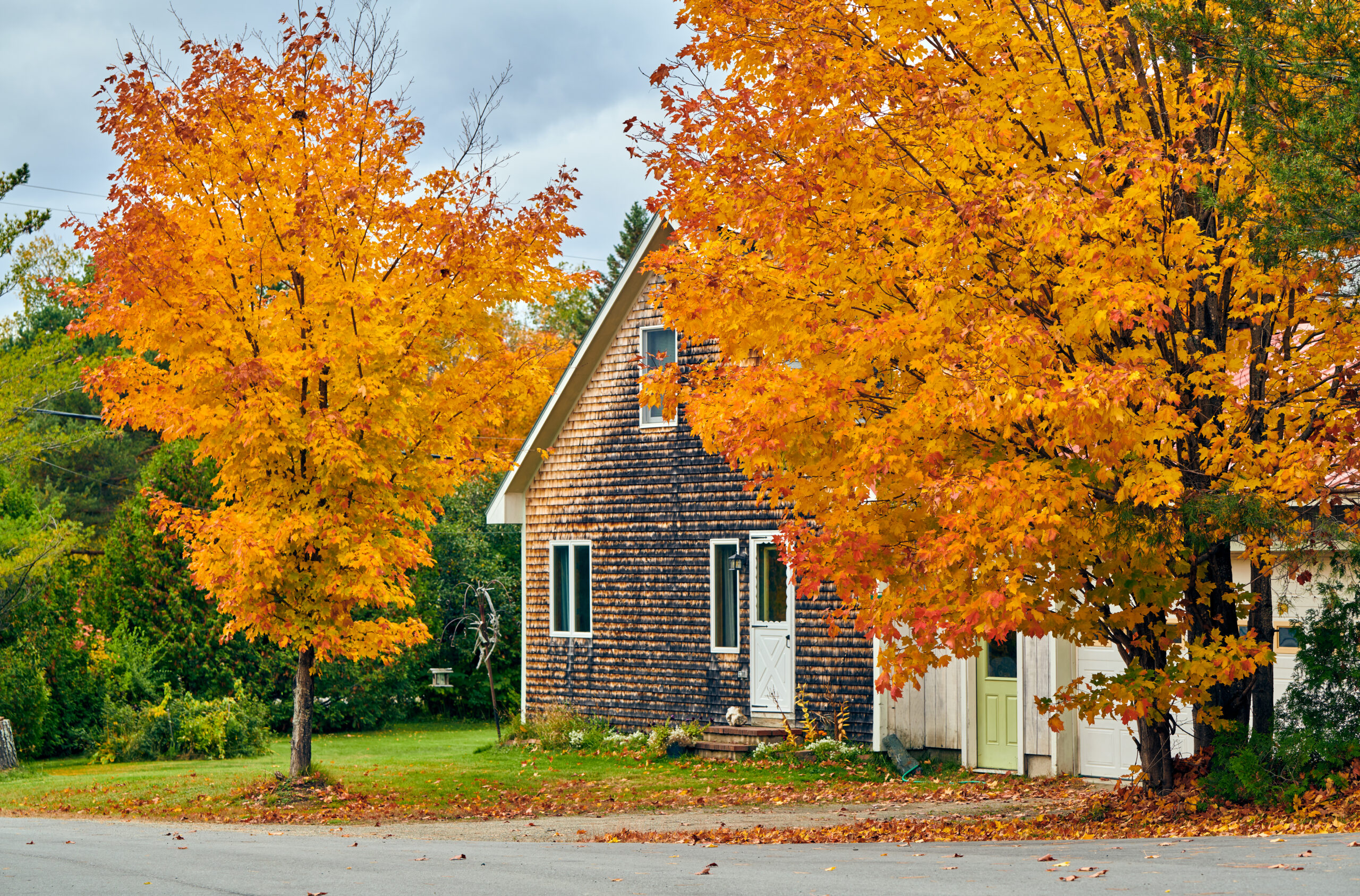 Navigating the Fall 2025 housing market