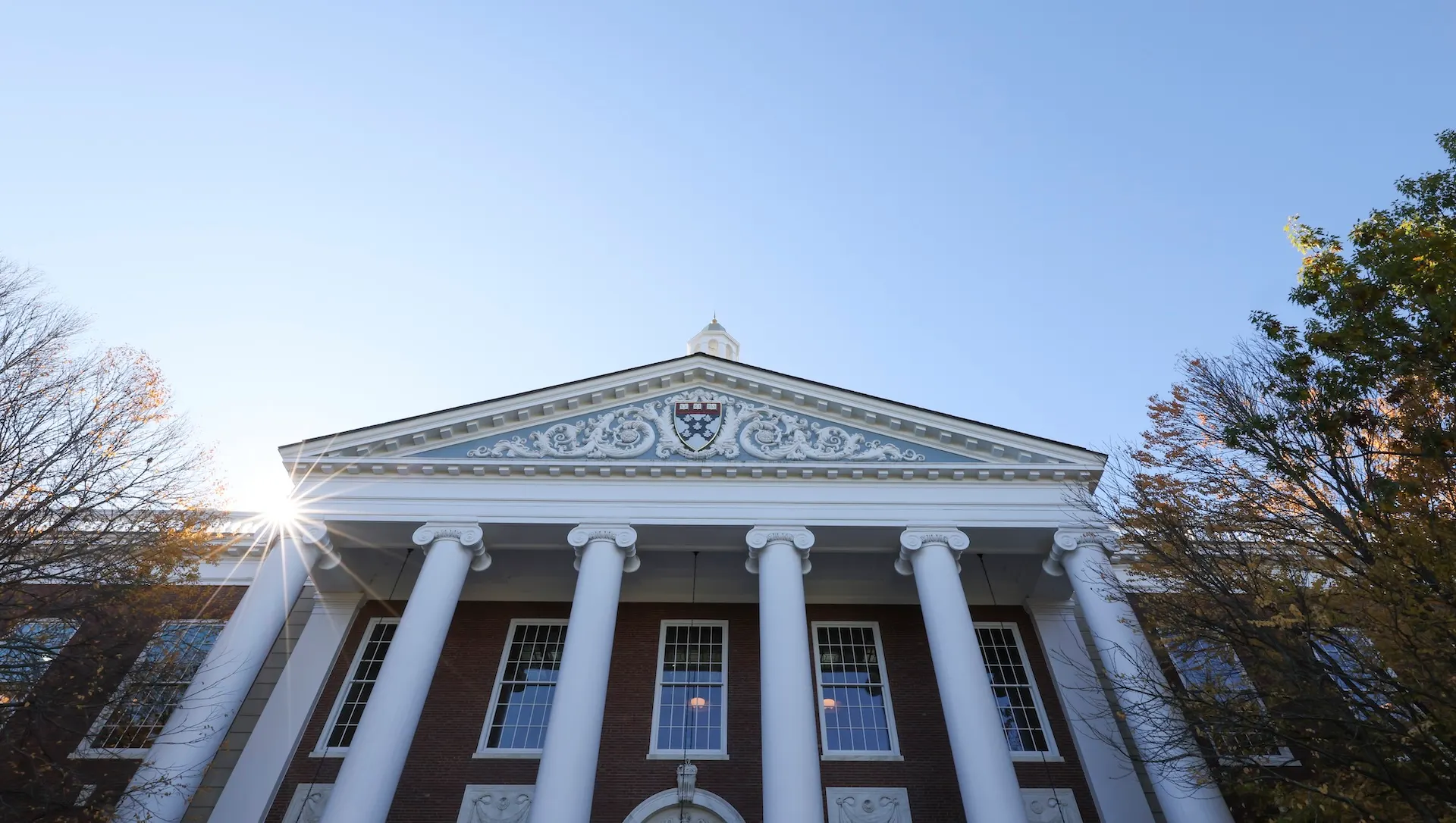 Harvard Business School Professor Says This Is The 1 Skill Entrepreneurs Truly Need to Succeed