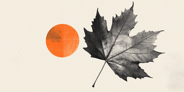 BoC December Minutes highlight cautious optimism amid global and domestic risks