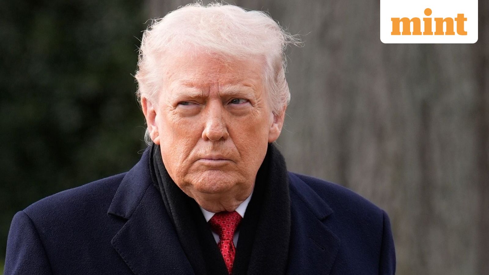 EU weighs retaliatory tariffs after Trump threatens duties over Greenland: Report