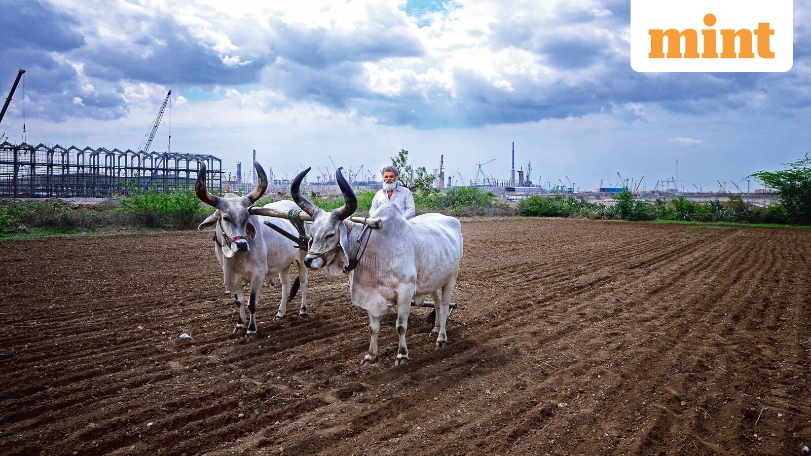 Mint Explainer | Why India wants farmers to shift crops—without touching MSP or procurement