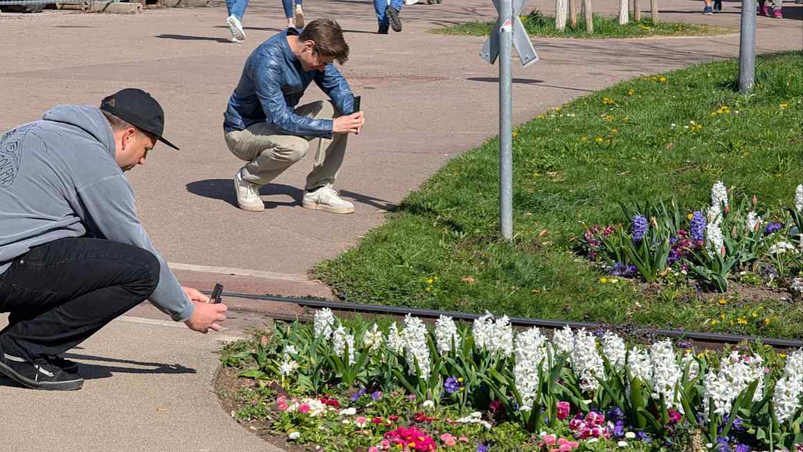 The tragedy of leisure