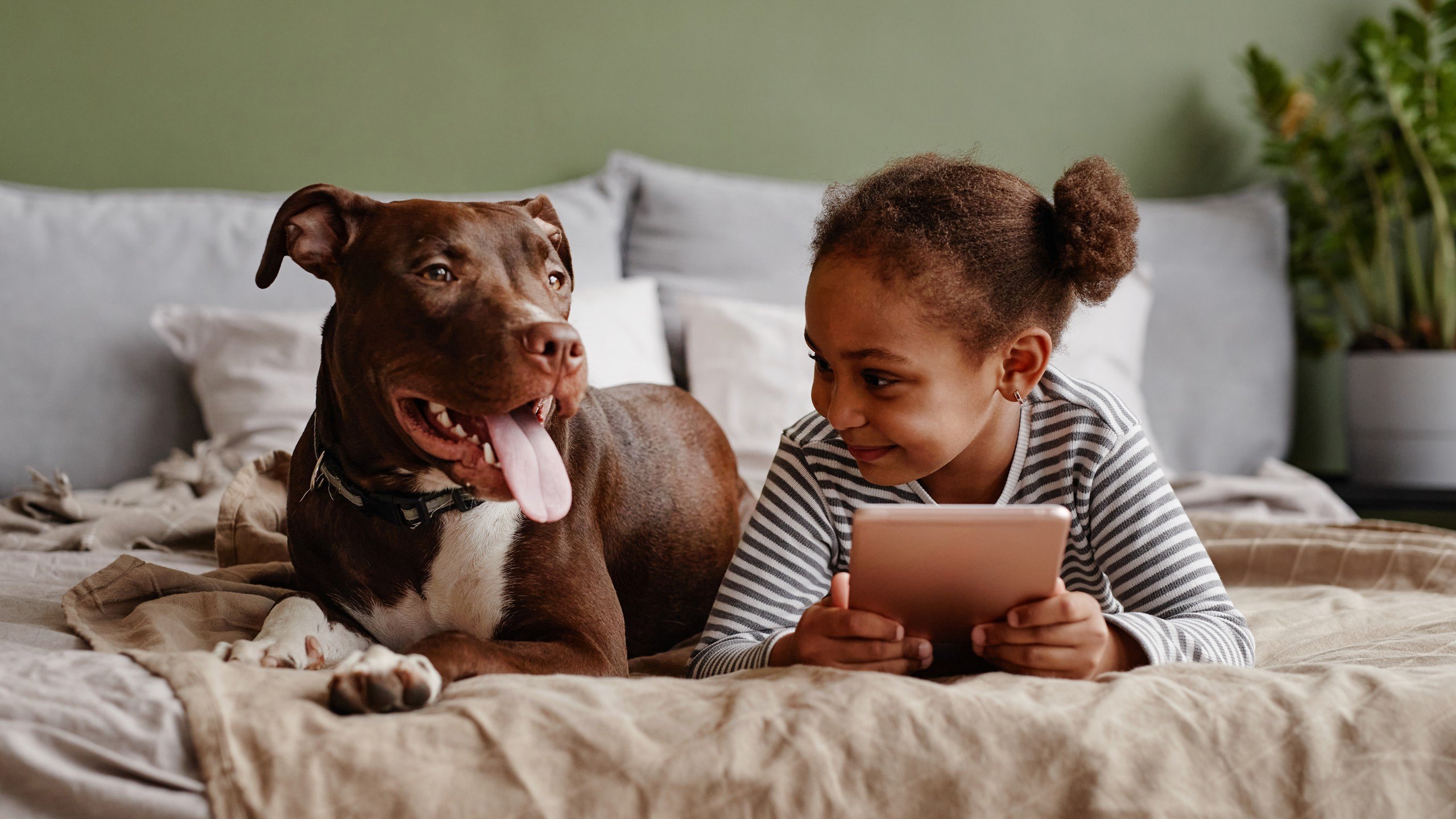 Pet-Friendly Homes Matter More Than Ever to Buyers-and Some Will Pay More