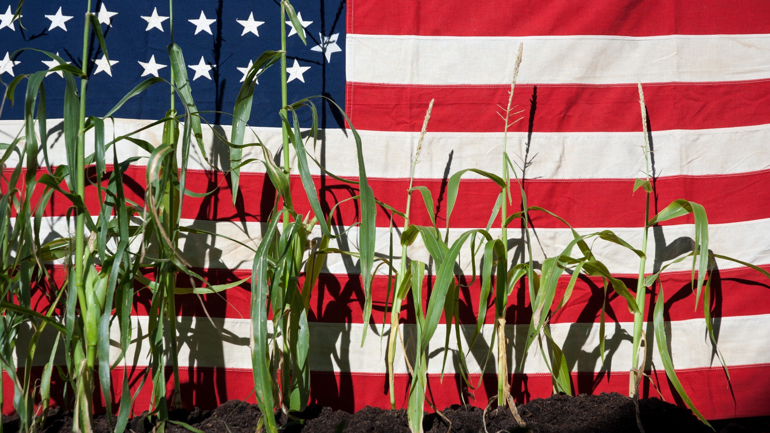 The 11 Affordable States Where Buyers Can Avoid Going House-Poor